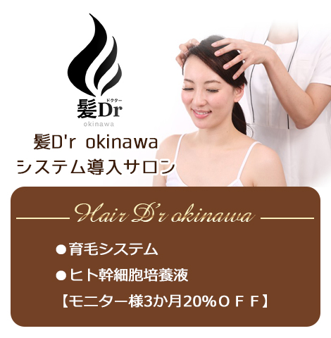 髪D'r okinawaシステム導入サロン